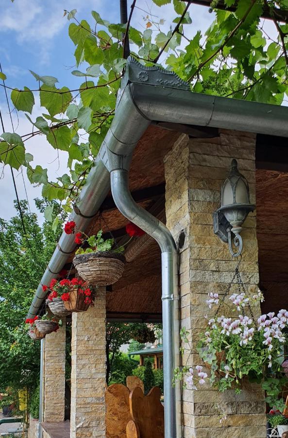 Vila Prezident Sremski Karlovci Esterno foto